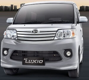 Alternative view of LUXIO